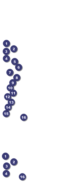 Alaska General Admission Ticket Front Field Markers