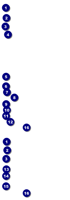 Volleyball Sun Rays Event Ticket Front Field Markers