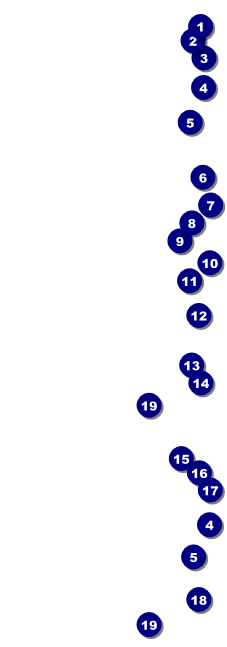 Bucking Bronco Rodeo Event Ticket Front Field Markers