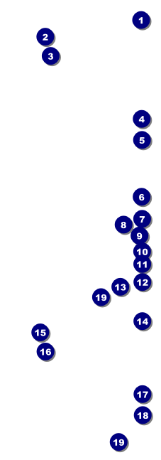 Birthday Party Event Ticket Front Field Markers