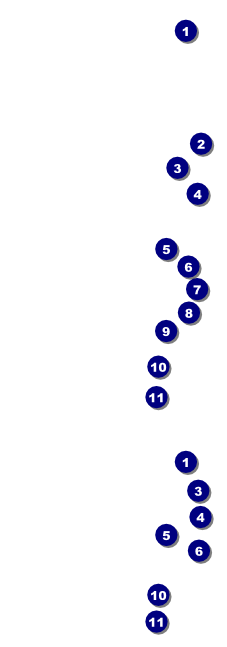 Carnival General Admission Ticket 001 Front Field Markers