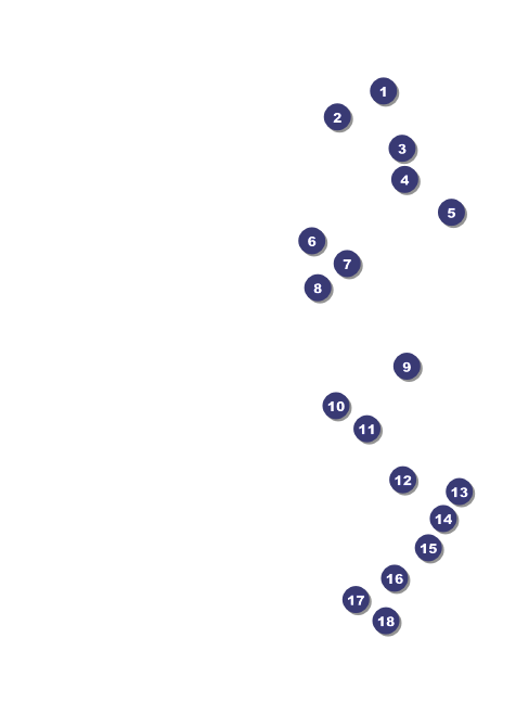 Arkansas Invitation Front Field Markers