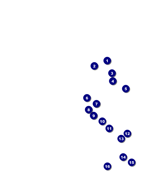 California Invitation (Blue and Salmon) Front Field Markers