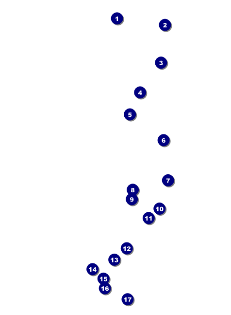 Earth Day Organic Invitation Front Field Markers