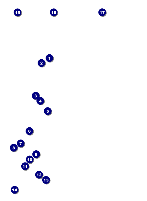 Sweet 16 Invitation Front Field Markers