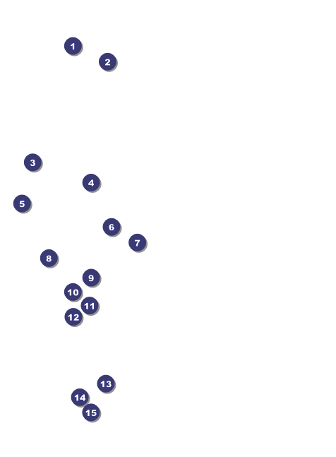 Sydney Invitation (Blue) Front Field Markers