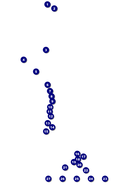 Hawaii Luau Poster Front Field Markers