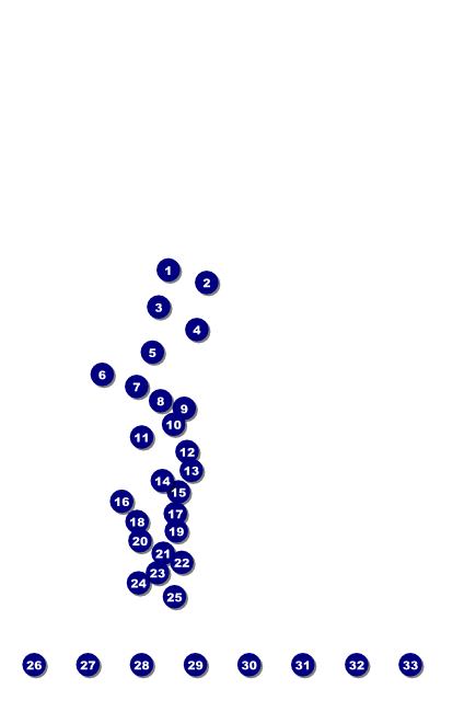 Trail Running Race Poster Front Field Markers