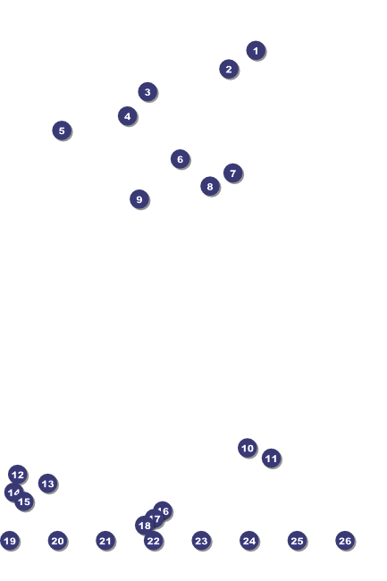 Winter Bird Image Poster Front Field Markers