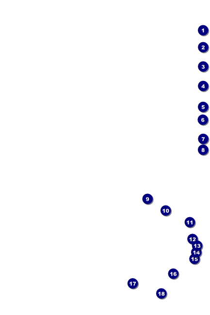 Champagne Bistro Poster Front Field Markers