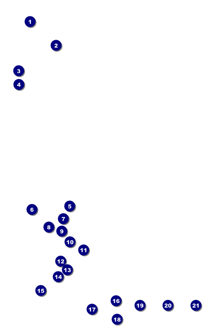 Dance Festival Poster Front Field Markers