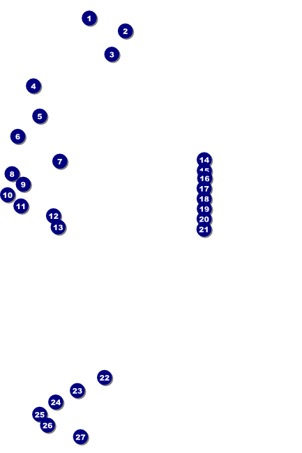 Holiday Gift Poster Front Field Markers