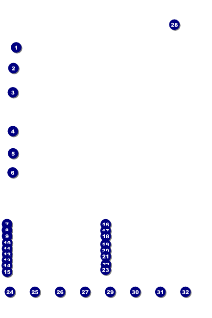 Holiday Snowflake Logo Poster Front Field Markers