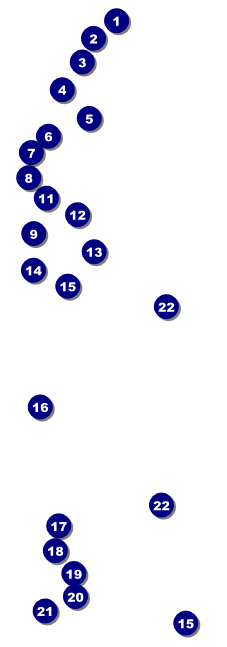 Philadelphia raffle ticket Front Field Markers