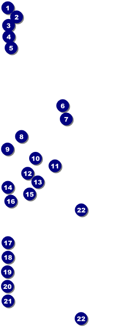Diwali Raffle Ticket Front Field Markers