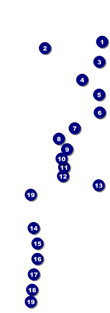 Earth Day Organic Raffle Ticket Front Field Markers