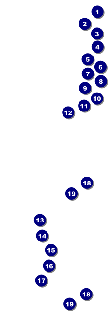 Denver Raffle Ticket Front Field Markers