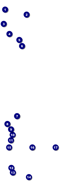 Ski Race VIP Pass Front Field Markers
