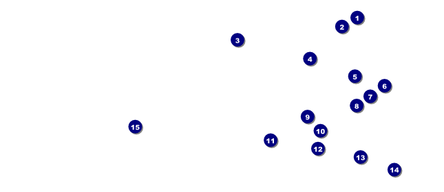 Twin Cities VIP pass (black and white) Front Field Markers