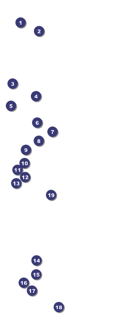 Sydney VIP Pass (Pink) Front Field Markers