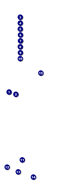 Toronto VIP Pass Front Field Markers
