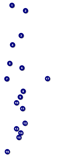 Billiards VIP Pass Front Field Markers
