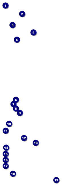 World Music VIP Pass Front Field Markers