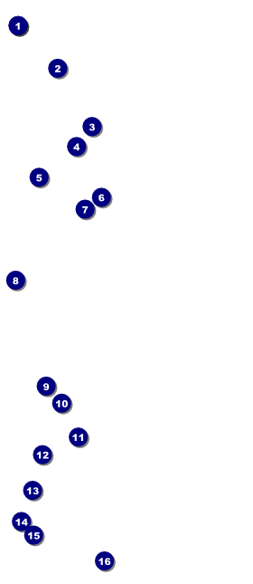 Texas Hold 'Em VIP Pass Front Field Markers