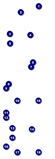 Walk Event Ticket Front Field Markers