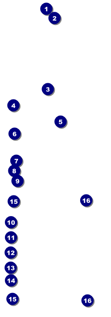 Social Networking Raffle Ticket Front Field Markers
