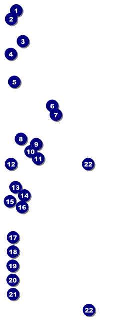 Christmas Carol Raffle Ticket Front Field Markers