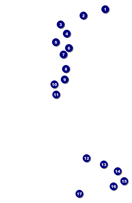 Martin Luther King Drink Ticket Front Field Markers