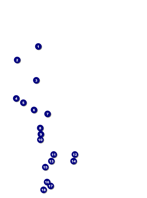 Renaissance Flyer Front Field Markers